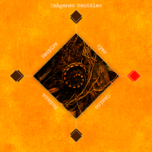ayercaminomananarespiro-cover-a
